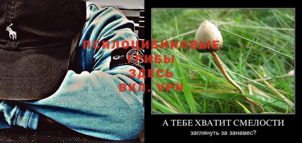 эйфоретик Белокуриха