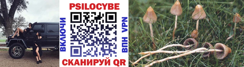 ссылка на мегу вход  купить   Володарск  Псилоцибиновые грибы прущие грибы 